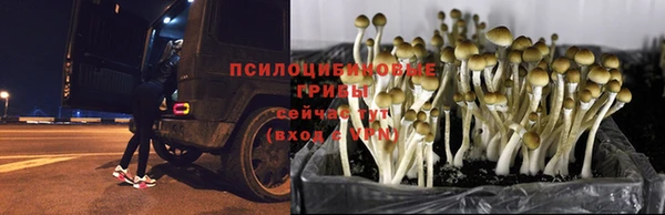 мет Бородино