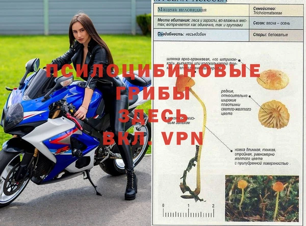 твердый Верея