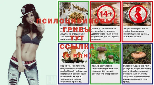 индика Бугульма