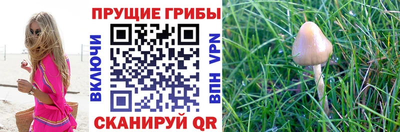 Галлюциногенные грибы GOLDEN TEACHER Вилюйск