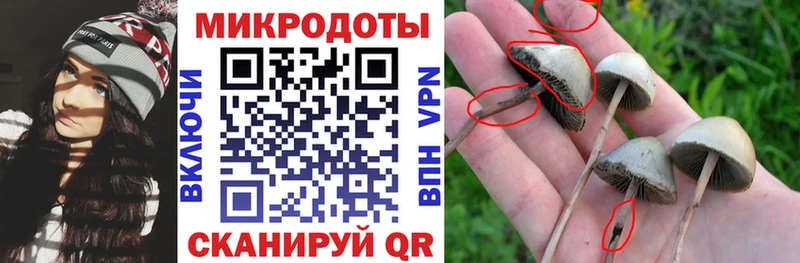 Галлюциногенные грибы Psilocybe  Вилюйск 